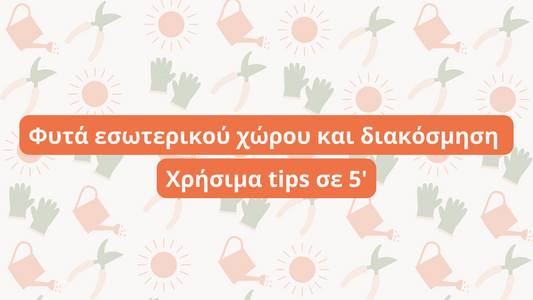 Φυτά εσωτερικού χώρου και διακόσμηση: Χρήσιμα tips σε 5'