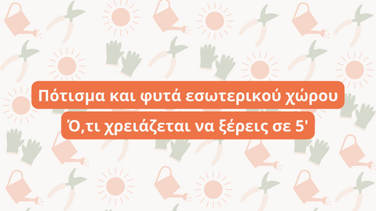 Πότισμα και φυτά εσωτερικού χώρου. Ό,τι χρειάζεται να ξέρεις σε 5'