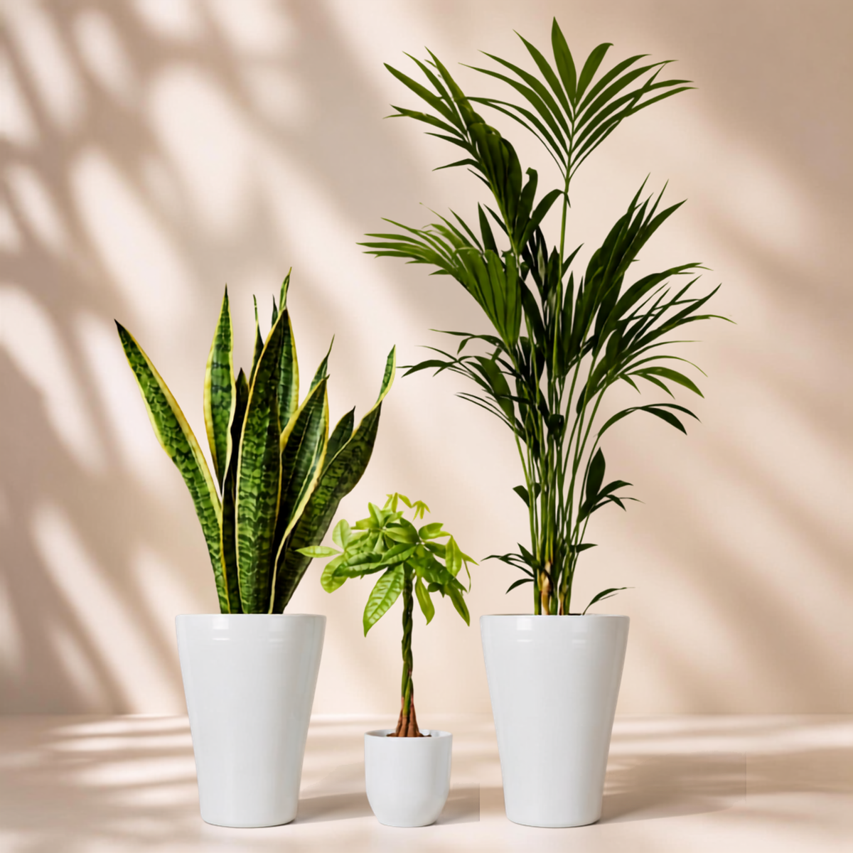 Indoor garden