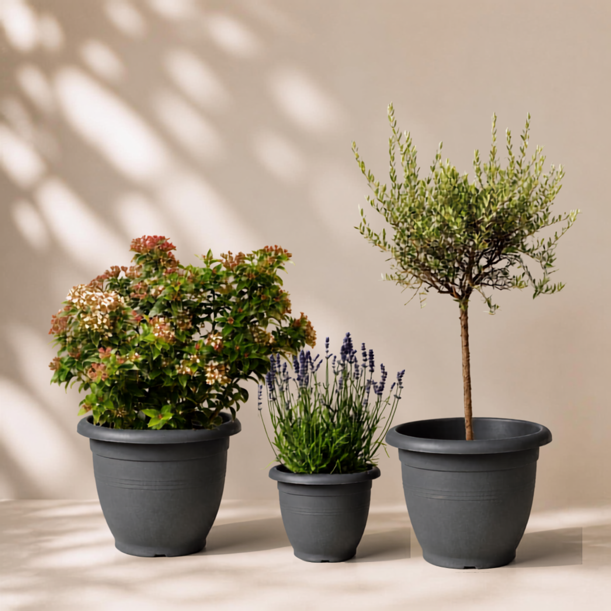 Outdoor garden