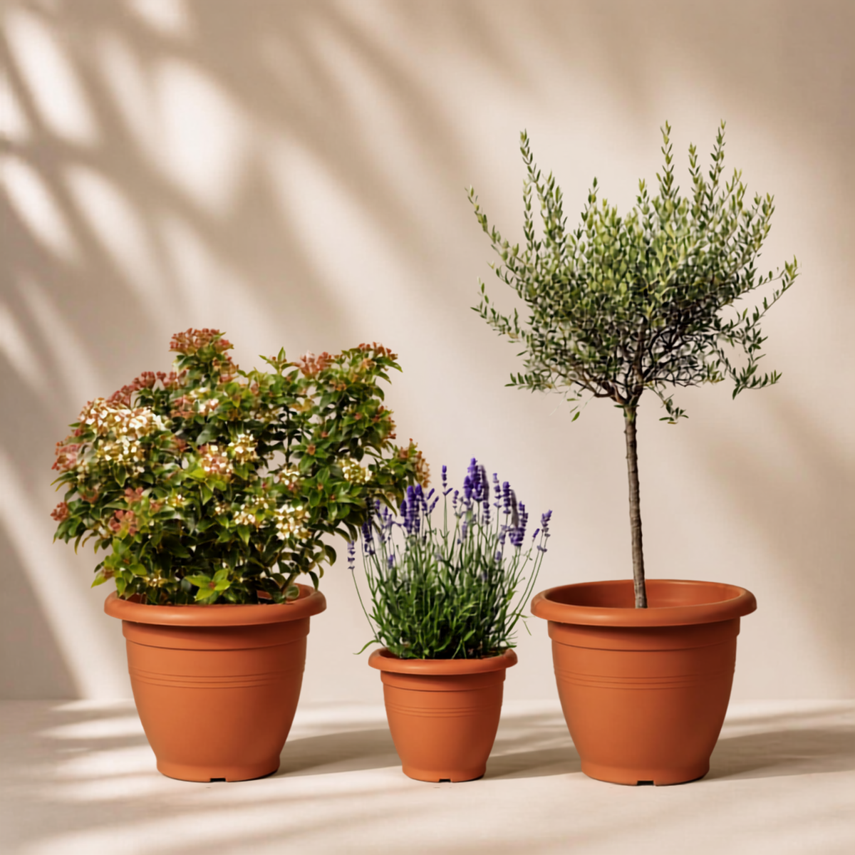 Outdoor garden