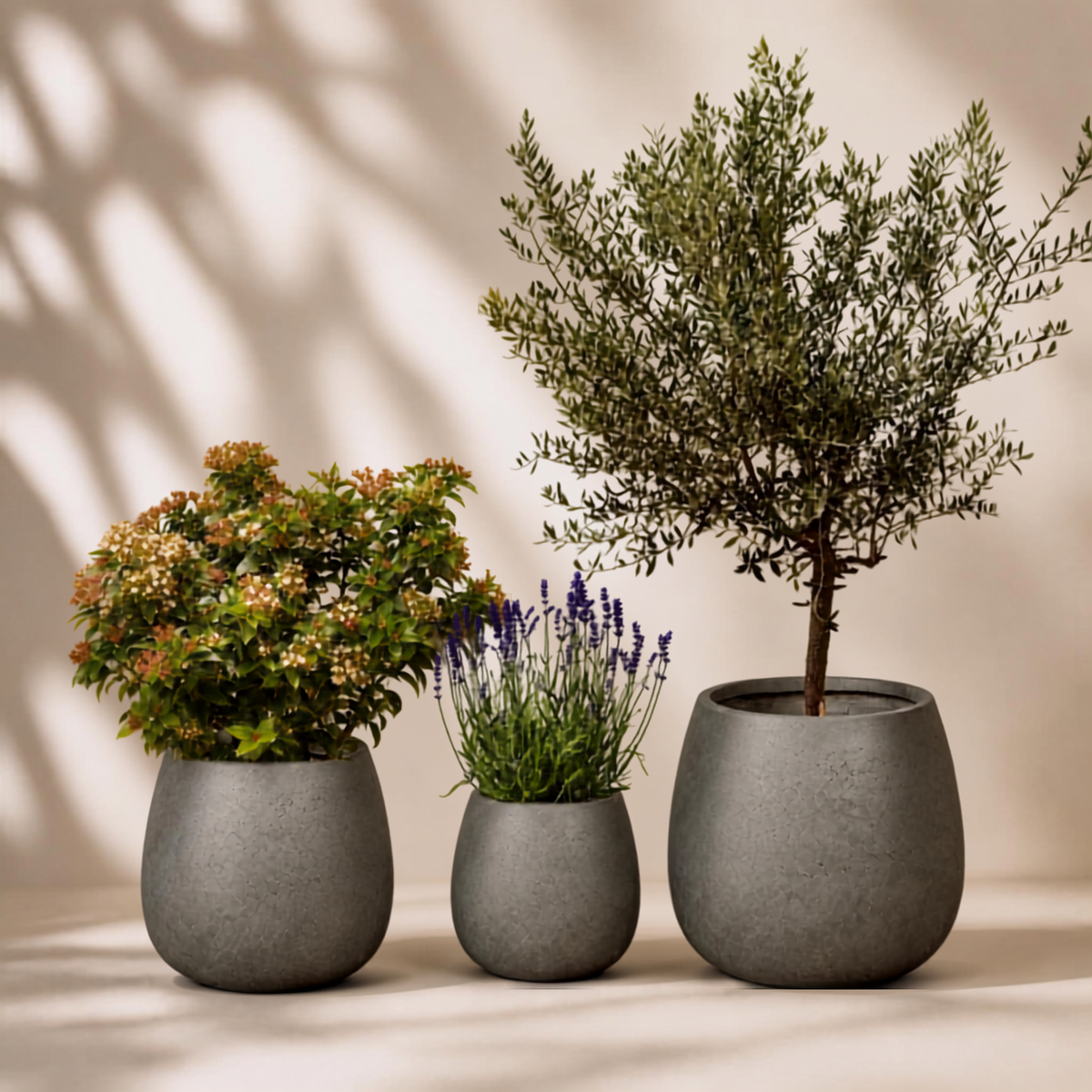 Outdoor garden