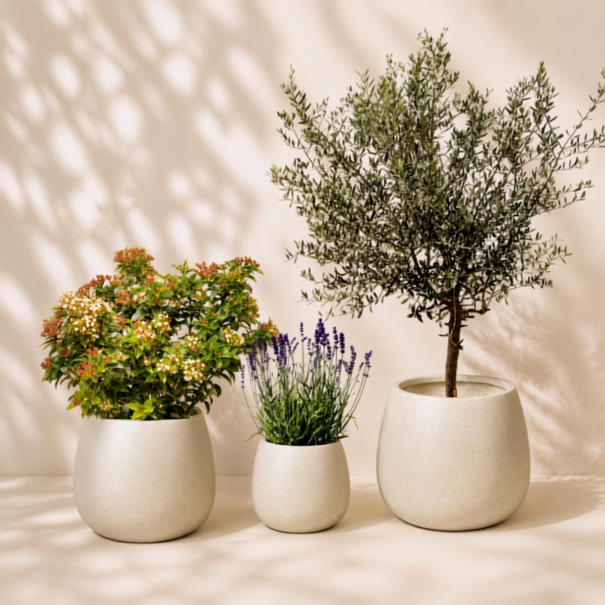 Outdoor garden