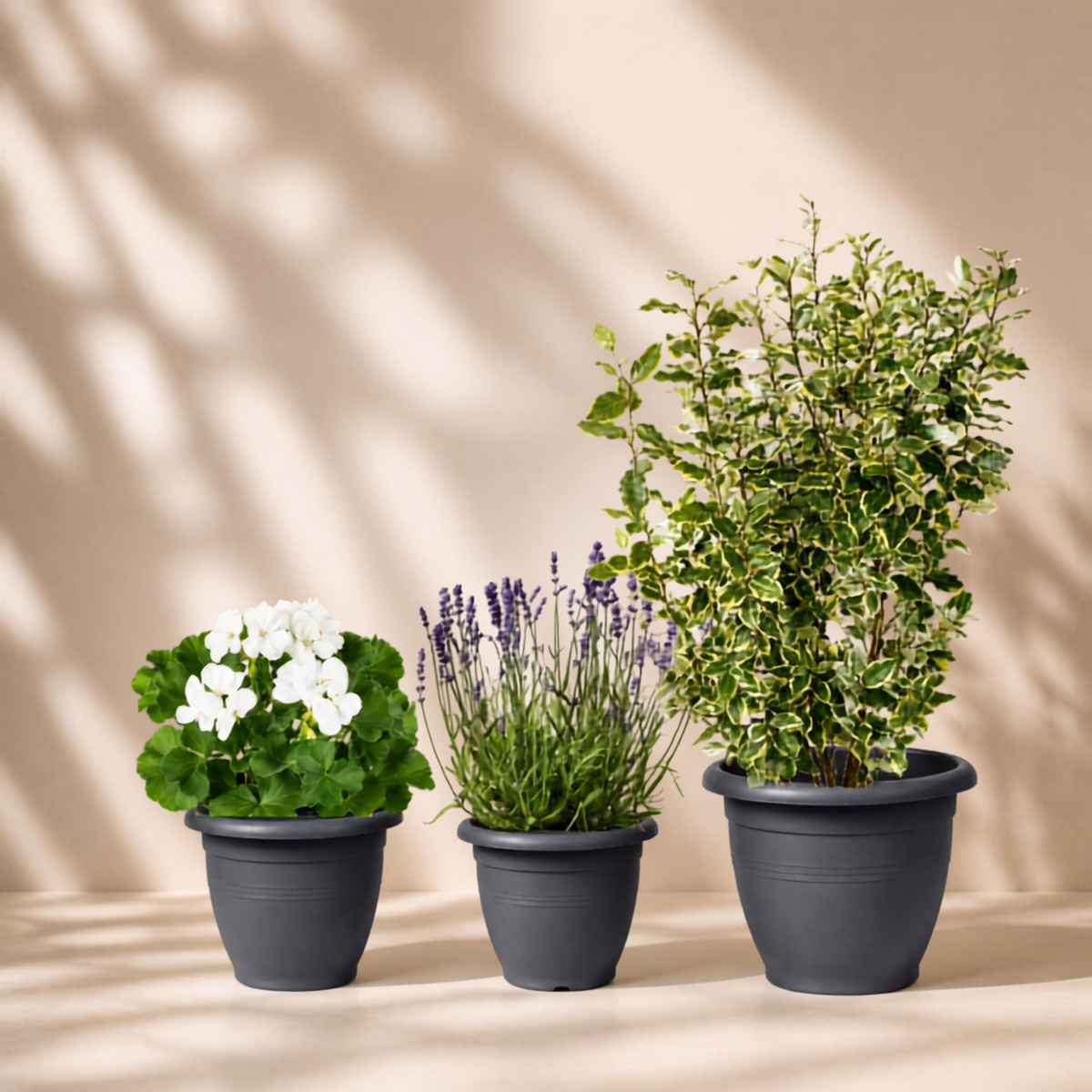 Outdoor garden