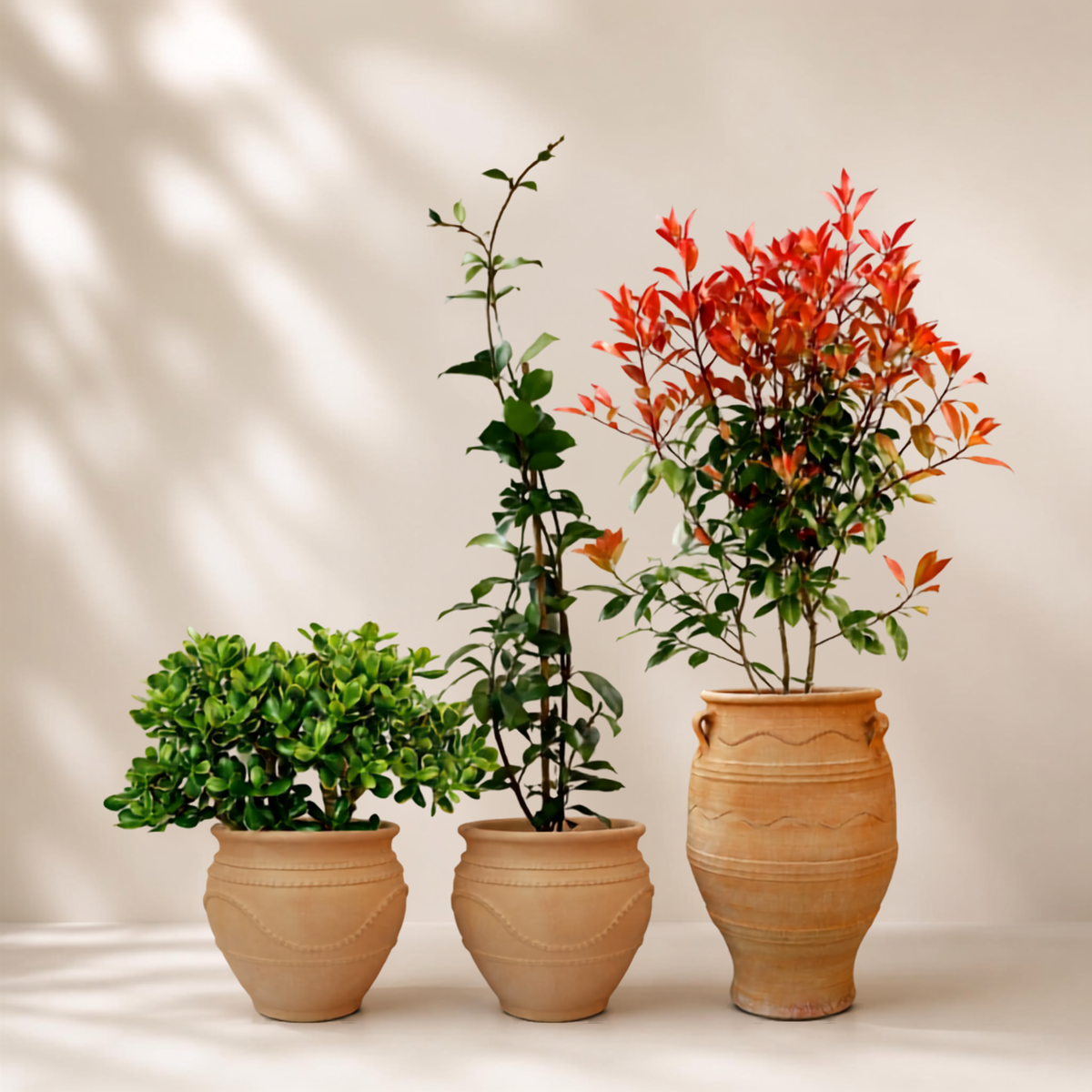 Outdoor garden