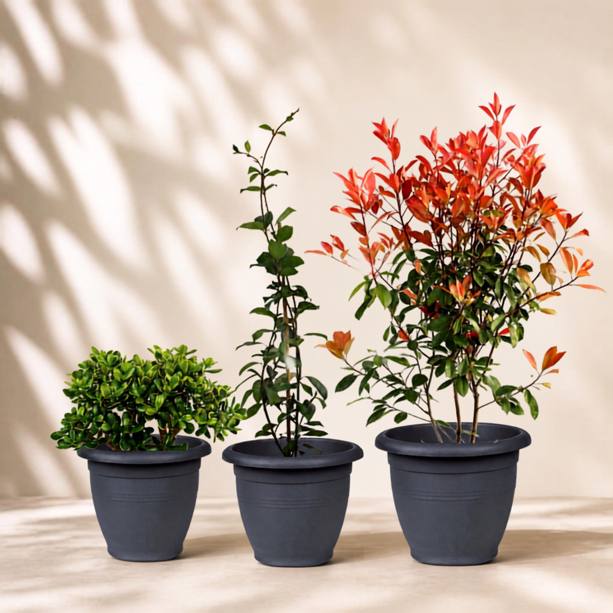 Outdoor garden