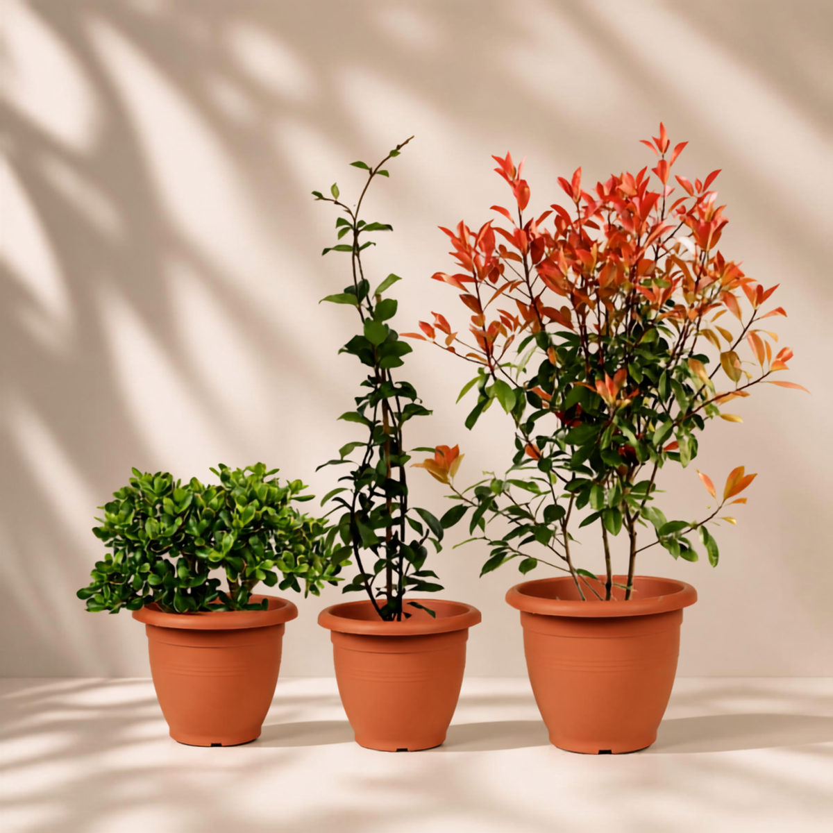 Outdoor garden