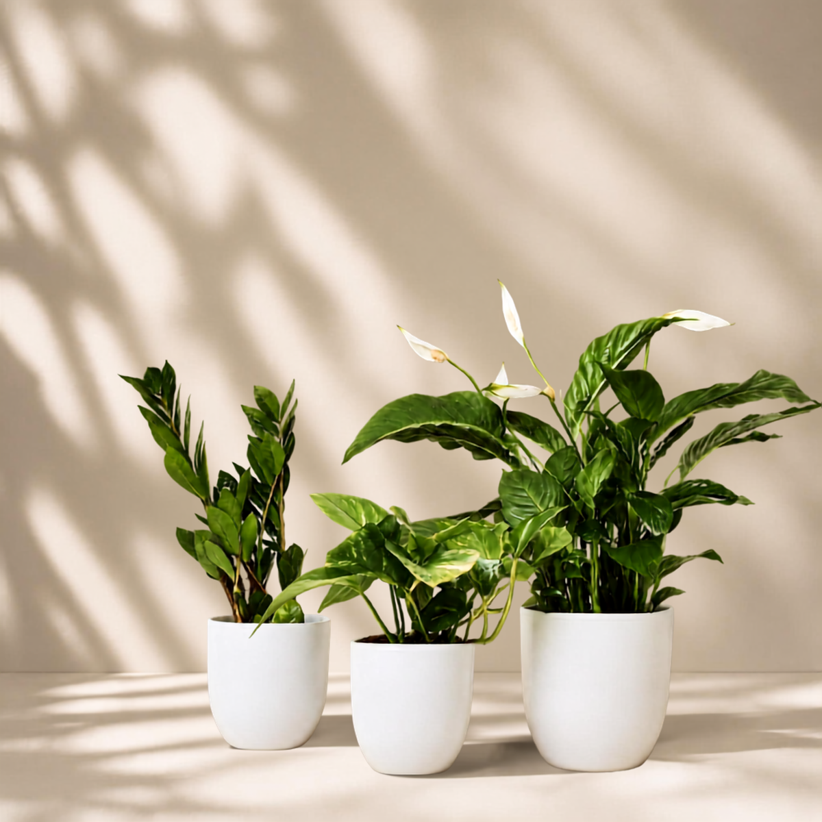 Indoor garden