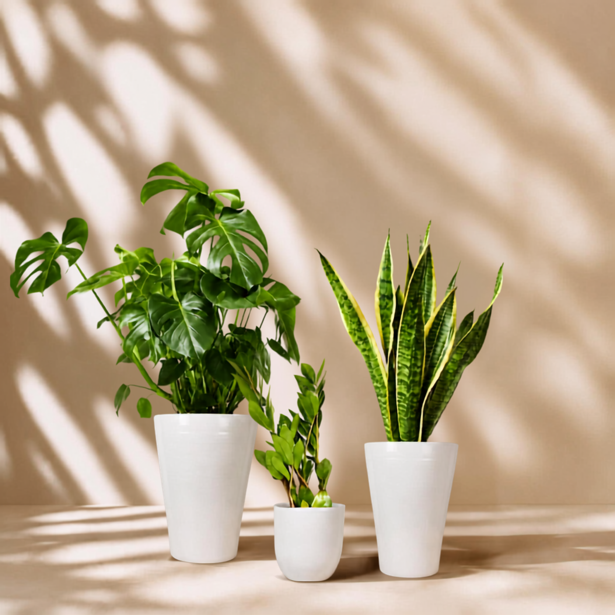 Indoor garden