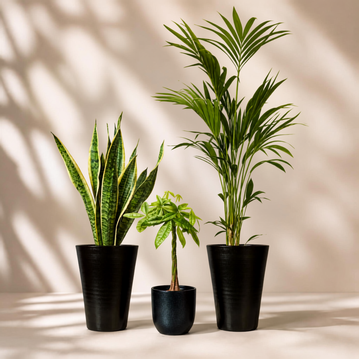 Indoor garden