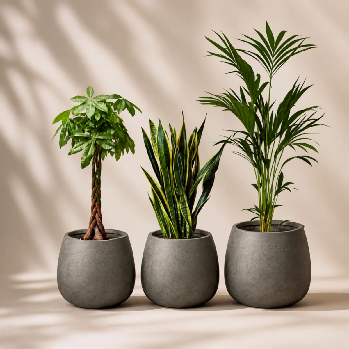 Indoor garden