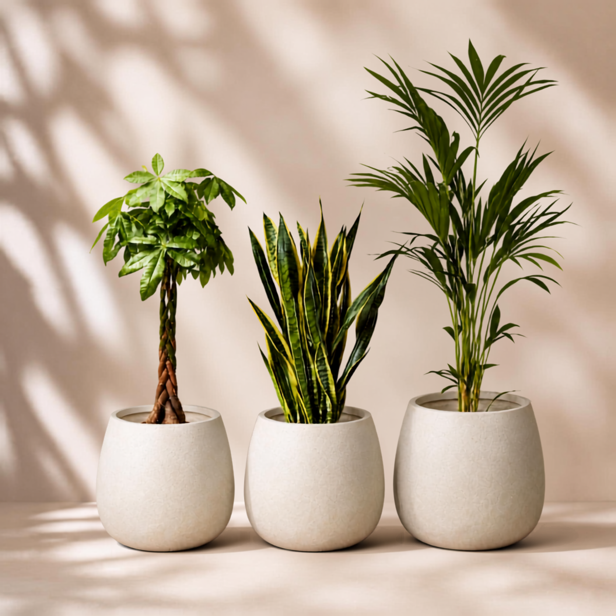 Indoor garden