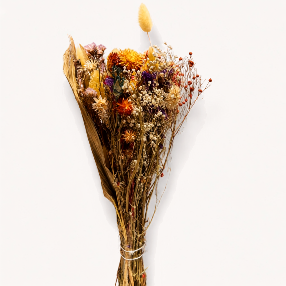 Αποξηραμένα λουλούδια 'Eternal Bloom'