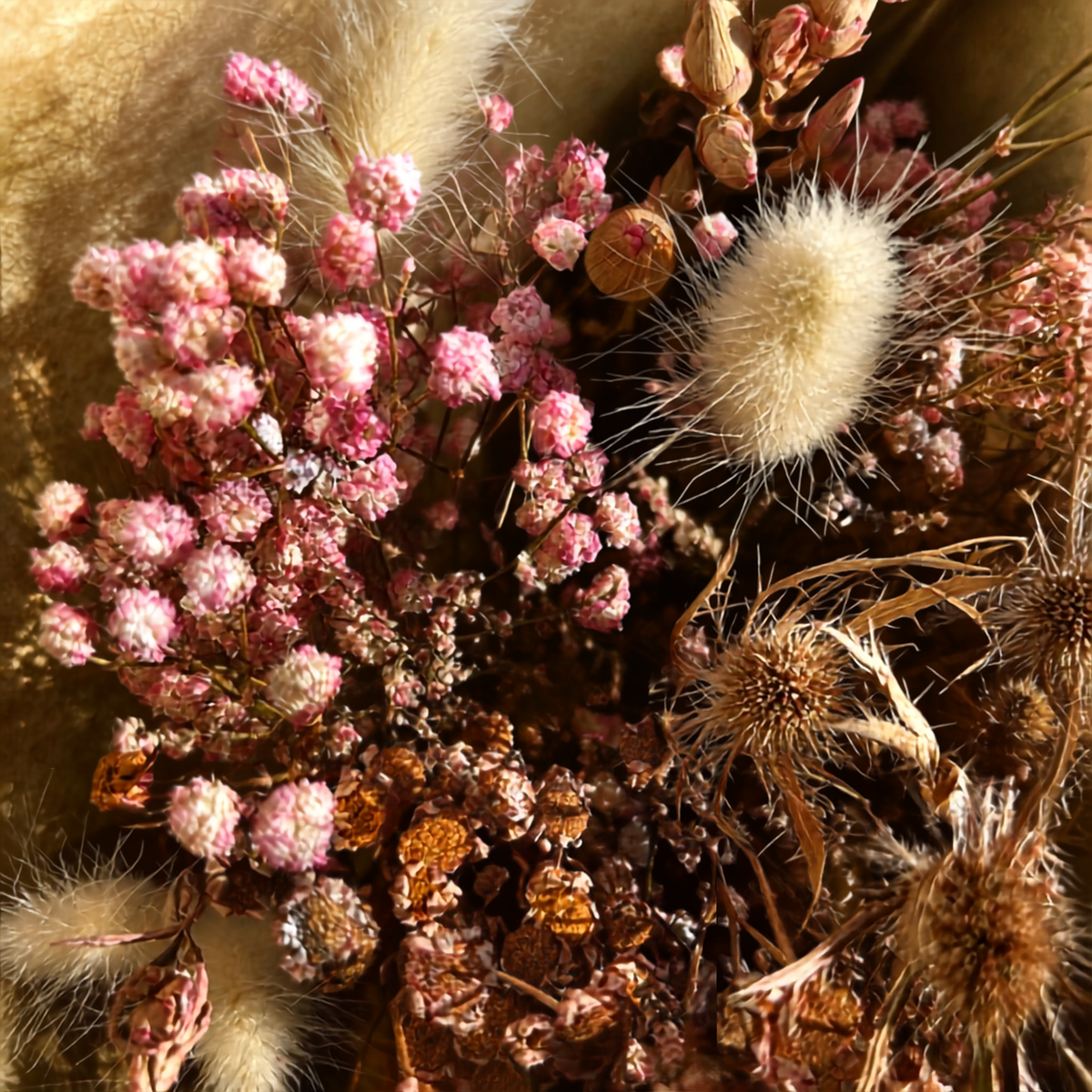 Αποξηραμένα λουλούδια 'Eternal Bloom'