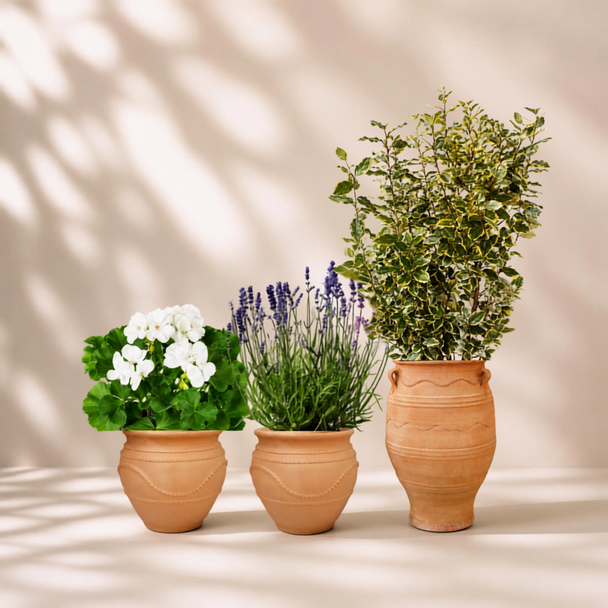 Outdoor garden